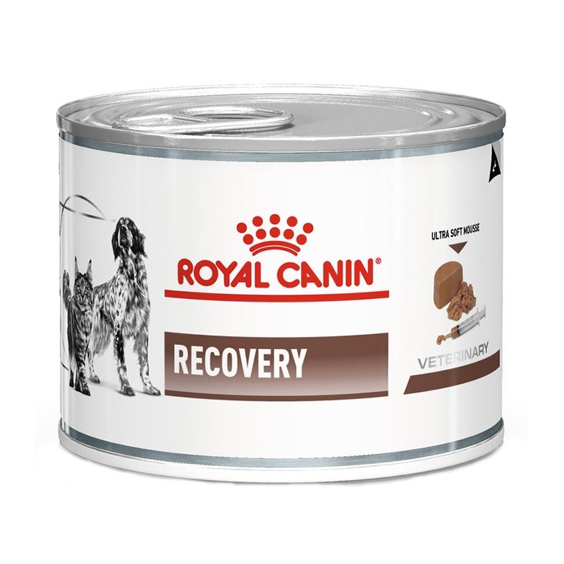 Royal Canin Recovery корм для собак и кошек в период анорексии и выздоровления, банка 195 г