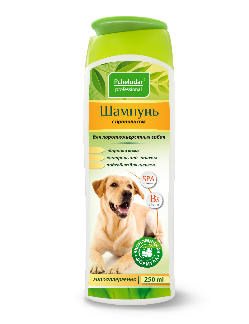 Шампунь с прополисом для короткошерстных собак / 250 мл (Пчелодар)	