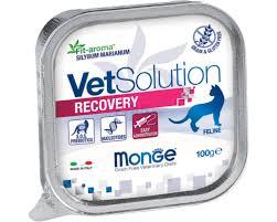 Monge Cat VetSolution Recovery, 100 гр